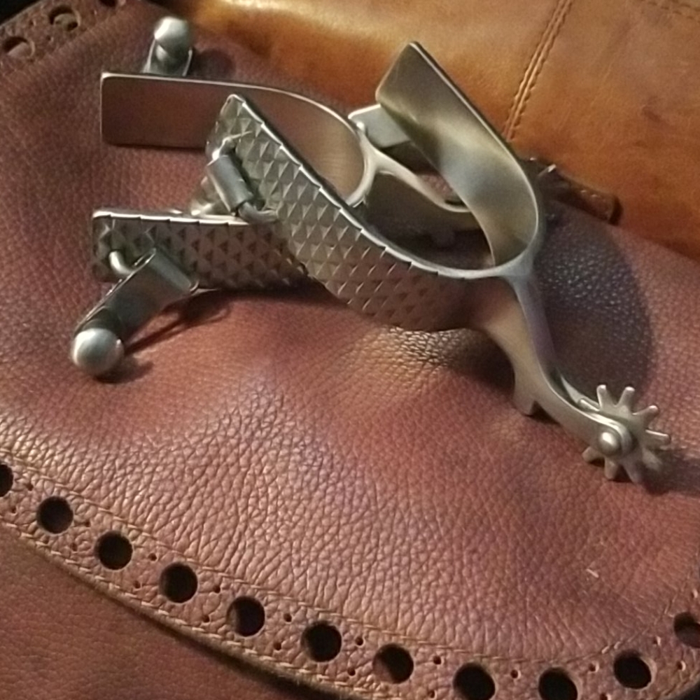 Stainless steel spurs